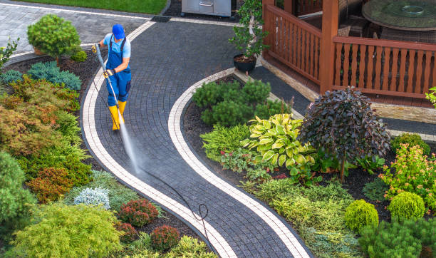 Best Roof Pressure Washing  in East Dubuque, IL