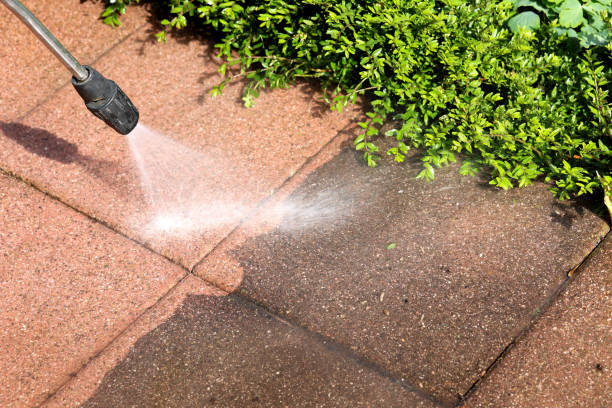 Best Power Washing Near Me  in East Dubuque, IL